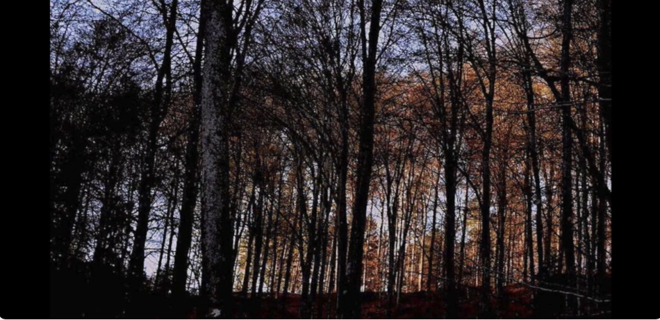 Yann Siptrott sur le Weg